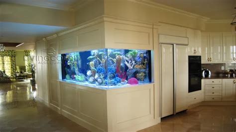 Build Your Dream Aquarium: A DIY Guide.